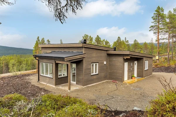 Koka karkasa māja "Alesund"